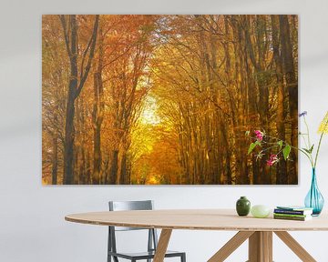 Uitzicht in een beukenbos tijdens de herfst van Sjoerd van der Wal Fotografie