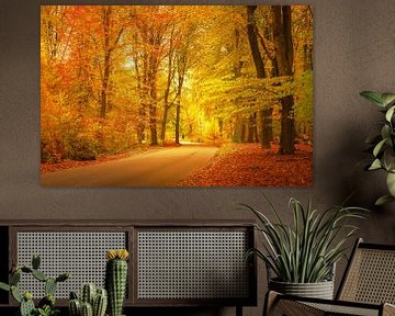Route à travers une forêt de hêtres à l'automne sur Sjoerd van der Wal Photographie