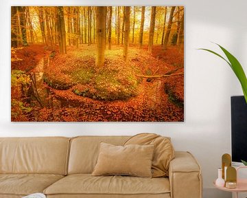 Beek in een herfstbos tijdens een herfstdag van Sjoerd van der Wal Fotografie