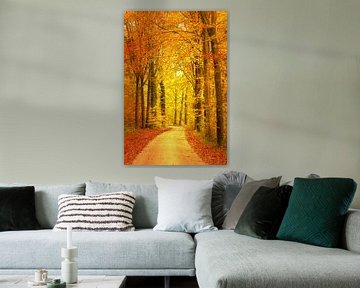 Path through a Beech tree forest during the fall by Sjoerd van der Wal Photography