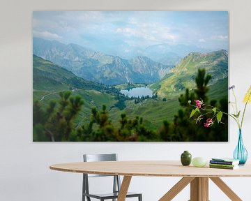 Ausblick vom Zeigersattel auf den Seealpsee im Allgäu von Leo Schindzielorz