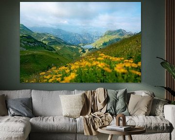 Blumige Aussicht vom Zeigersattel auf den Seealpsee im Allgäu von Leo Schindzielorz