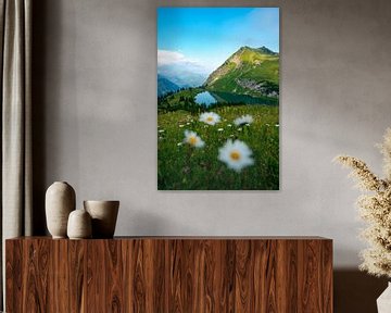 Blumige Aussicht auf den Seealpsee in den Allgäuer Alpen von Leo Schindzielorz