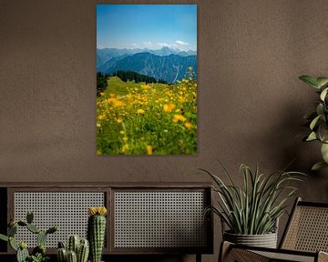 Blumiger Ausblick auf die Allgäuer Alpen vom Fellhorn von Leo Schindzielorz