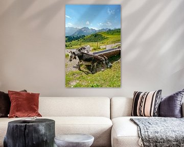 Vue animalière sur les Alpes de l'Allgäu depuis le Fellhorn sur Leo Schindzielorz