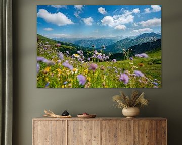 Vue fleurie sur les Alpes de l'Allgäu depuis le Fellhorn sur Leo Schindzielorz