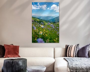 Blumige Aussicht auf die Allgäuer Alpen vom Fellhorn