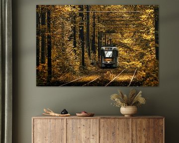 Tram 44 in de herfst van Jim De Sitter