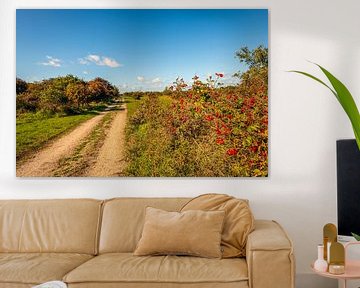 Zandpad door de Duinen van Goeree, Goedereede van Ruud Morijn