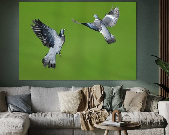 Aperçu de la chambre