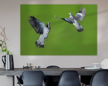 Vliegende duiven / Flying pigeons van Henk de Boer