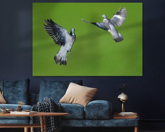 Aperçu de la chambre