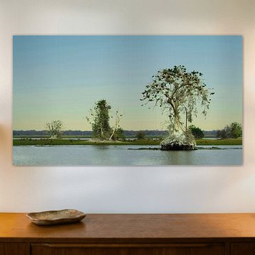 Extraordinary nature in Malawi