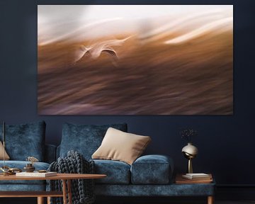 Gull abstract by Linda Raaphorst