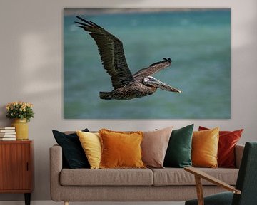 Brown pelican flies by. by Erik de Rijk