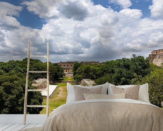 Aperçu de la chambre