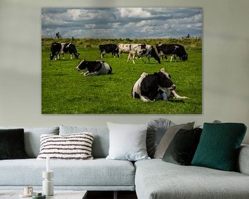 Cows, bicycles, and dikes by Jeroen de Jongh