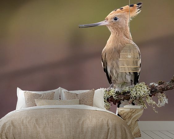 Aperçu de la chambre