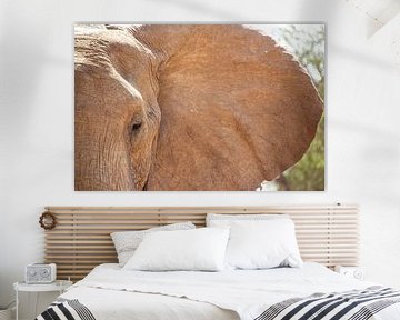 The emotions of an Elephant by Brenda bonte