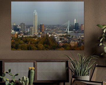 Skyline Rotterdam in daglicht van Nynke Altenburg