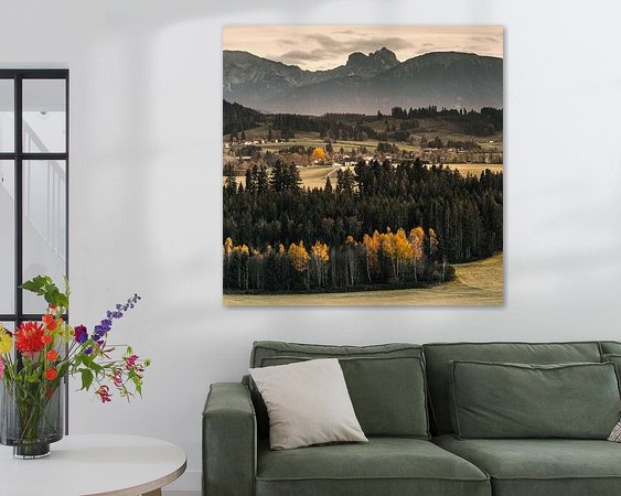 Aperçu de la chambre