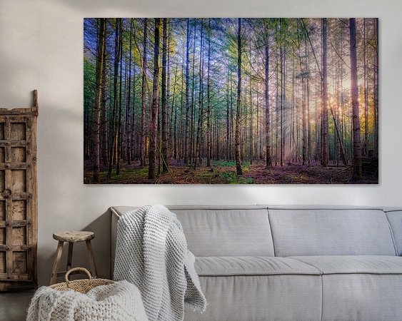 Aperçu de la chambre