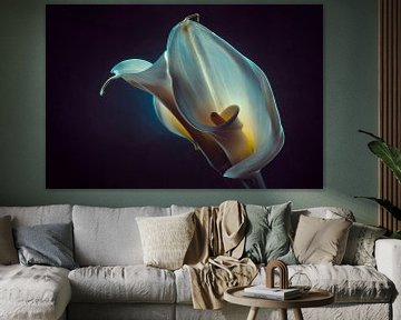 calla van Frank Peters