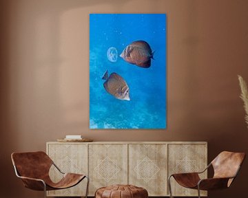 Butterfly Fish by Studio voor Beeld