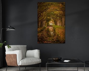 Couleurs d'automne dans les arbres au-dessus d'un canal à Veenhuizen sur KB Design & Photography (Karen Brouwer)