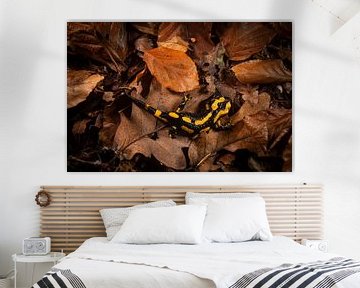 Een vuursalamander tussen de bladeren