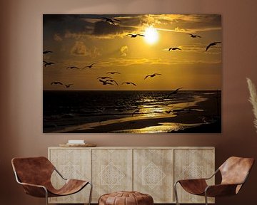 Seagulls at sunset by Stefan Füsers