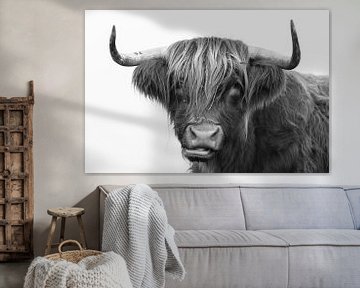 Portrait d'une vache écossaise des Highlands en noir et blanc sur KB Design & Photography (Karen Brouwer)