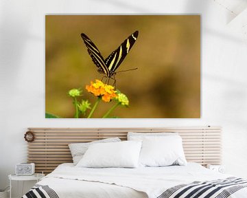Zwart en Geel Gestreepte Vlinder van Frank Hoekzema