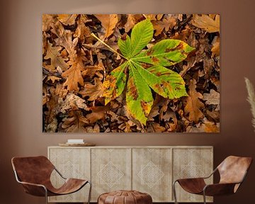 Herfstbladeren: Kastanje ontmoet Eik (bruin-groen) van images4nature by Eckart Mayer Photography