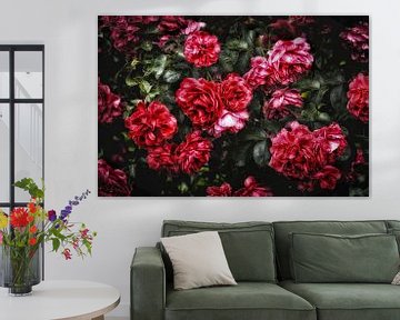 Romantische rode rozen van marlika art