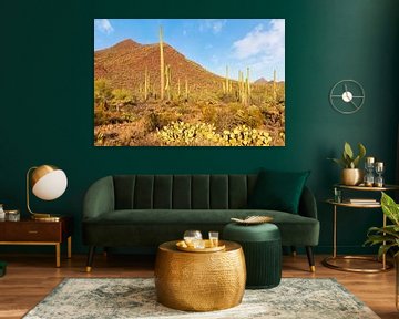 SAGUARO NATIONAL PARK Paysage désertique sur Melanie Viola