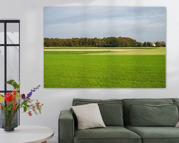 Green fields around Zemst (Flanders) by Werner Lerooy