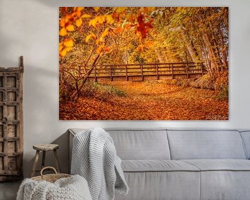 Herbstschatten im trocknenden Bach Vorden Estate. von N-Joy Pictures