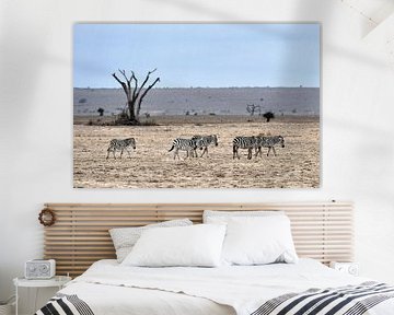 Zebra's in de steppe van Robert Styppa