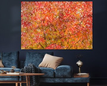 Autumn leaves by Marian Sintemaartensdijk