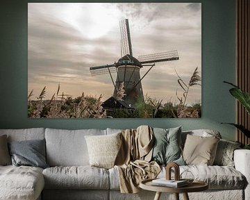 #Mill #Kinderdijk #Beautiful sky