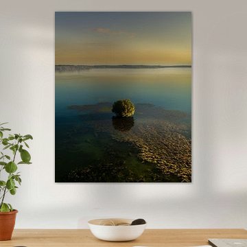 Arbre solitaire dans un beau lac au lever du soleil sur Jan Hermsen