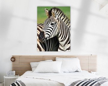 Portret van een zebra van Werner Lehmann