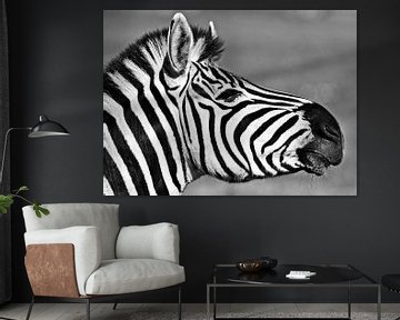 Portret van een zebra monochroom van Werner Lehmann