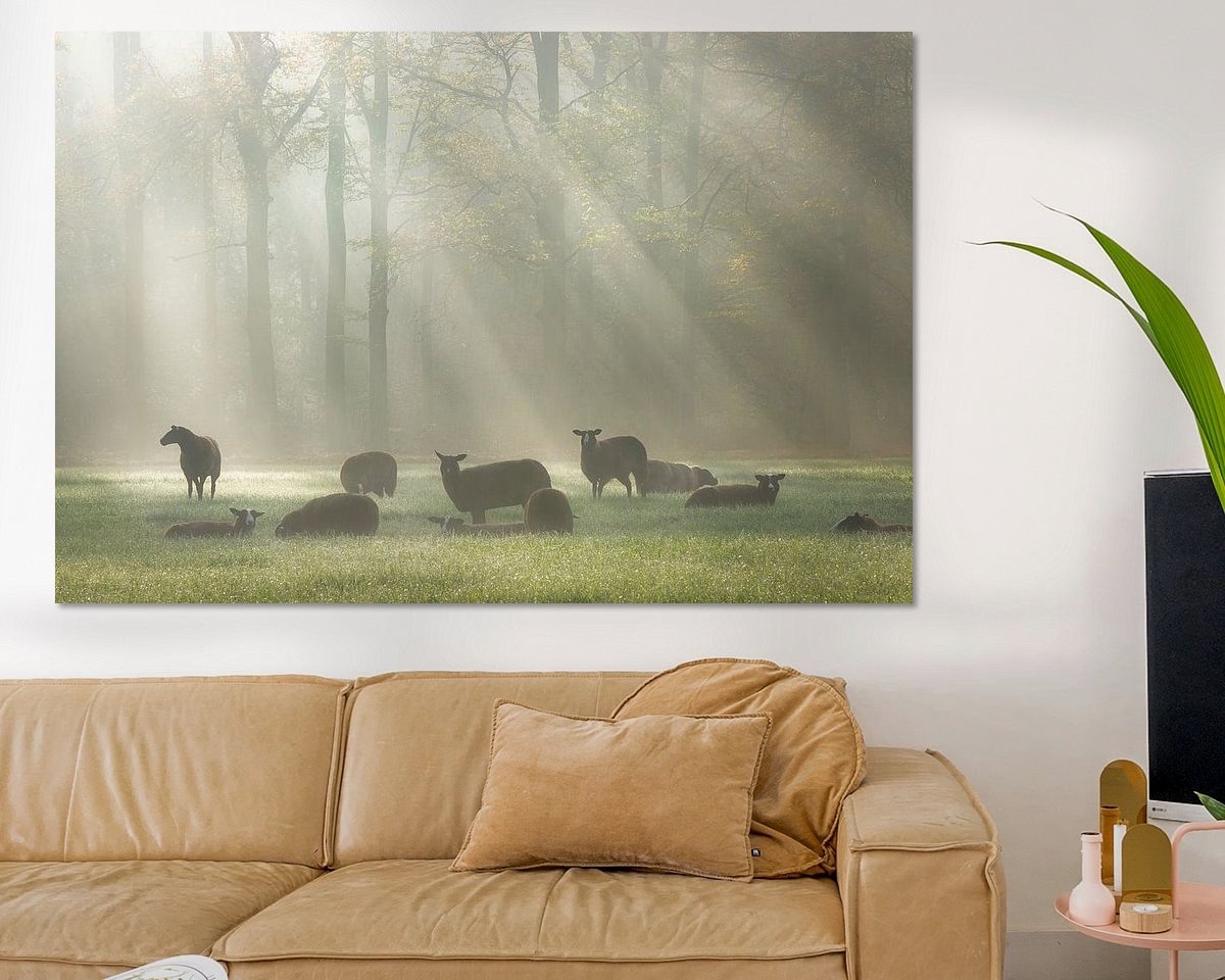 Voorbeeld van het werk in een kamer