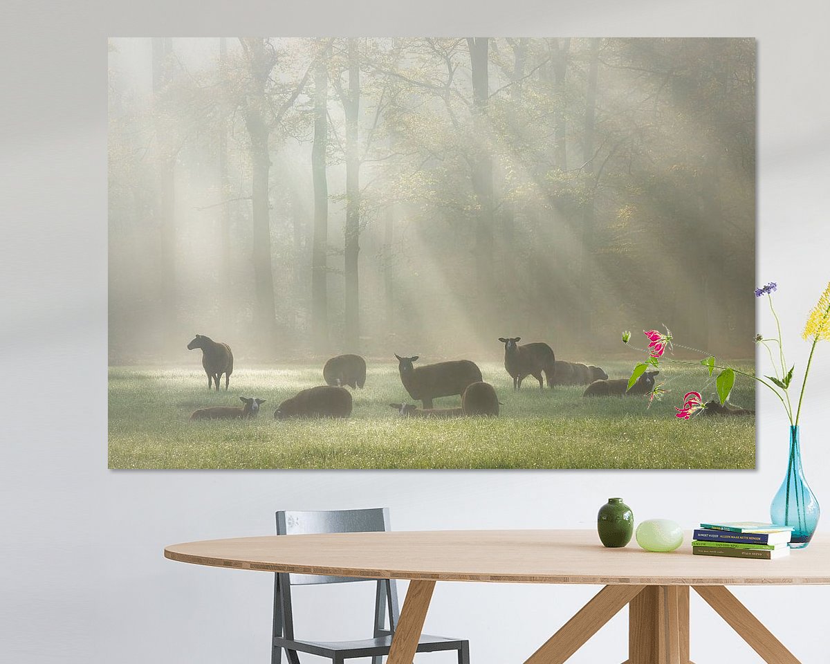 Voorbeeld van het werk in een kamer
