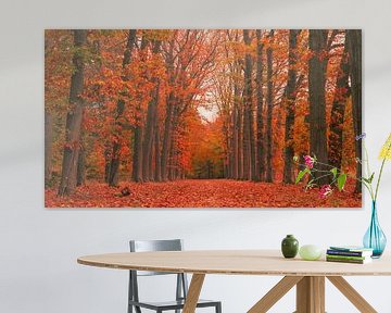 Bomenlaan panorama met rode herfstkleuren