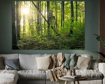Zonneschijn in het bos met een schuilplaats van Oliver Henze