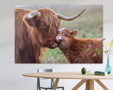 Mother love with the highland cattle by Annett Mirsberger