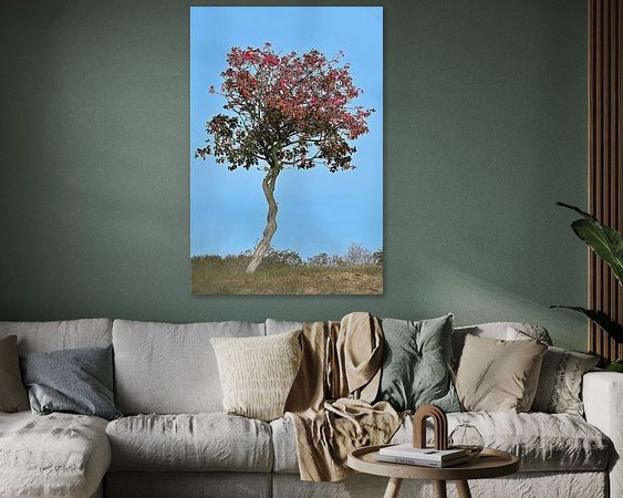 Raumvorschau